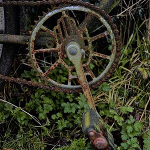 Team Page: Crusty Cranks